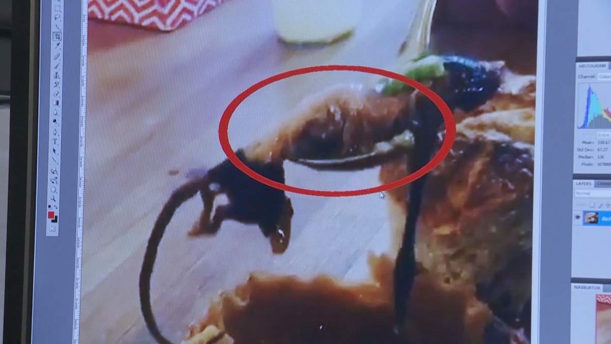 The fact that the rodent appears to have been exposed to high heat adds credibility to the video said forensic expert David McKay.