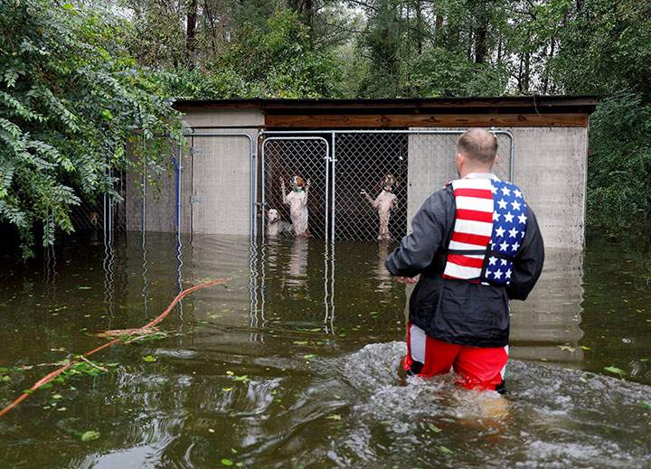 Panicked dogs that were left caged by an owner who fled rising flood waters in the aftermath of Hurricane Florence, are rescued by a volunteer in North Carolina, September 16, 2018.