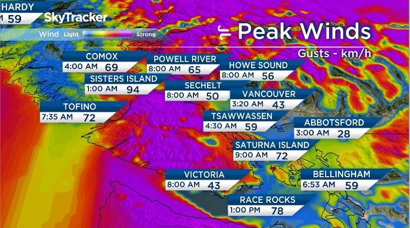 South Coast escapes worst of forecast Pacific storm - image