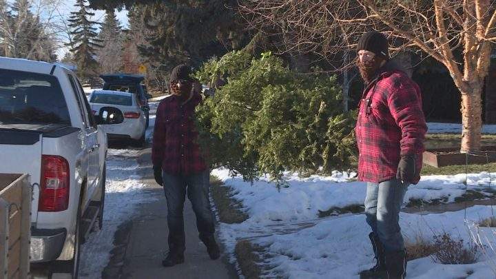 Two Calgary men are turning Christmas trees into cash to raise funds for a woman left paralyzed from a random CTrain attack in November.