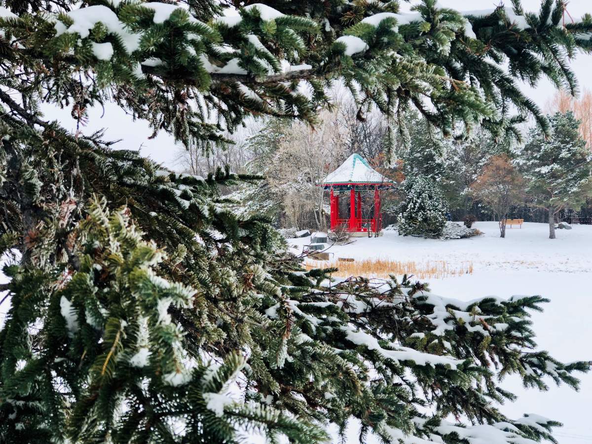 Winnipeg, Manitoba.