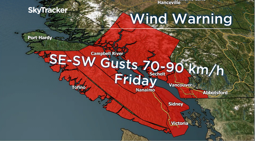 Powerful storm to hit Vancouver, almost exactly 12 years after winds felled Stanley Park’s trees - image