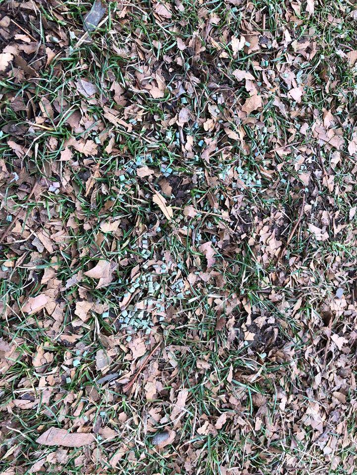 Officers with the Lincoln County Humane Society are investigating after what appears to be rat poison was scattered in a St. Catharines park.
