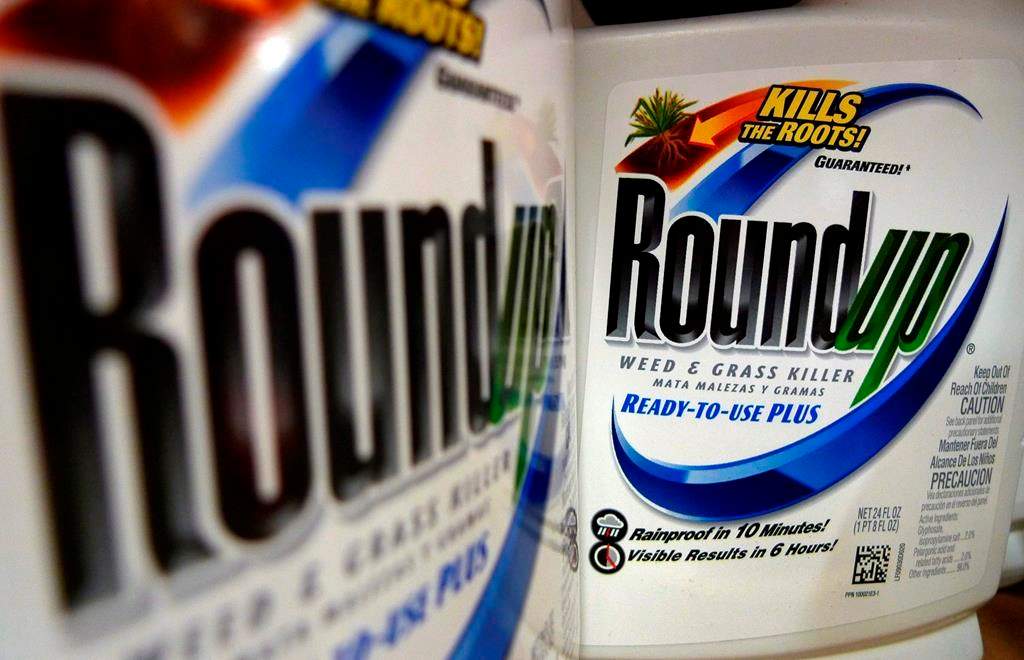 Bottles of Roundup herbicide, a product of Monsanto, are displayed on a store shelf in St. Louis, on June 28, 2011.