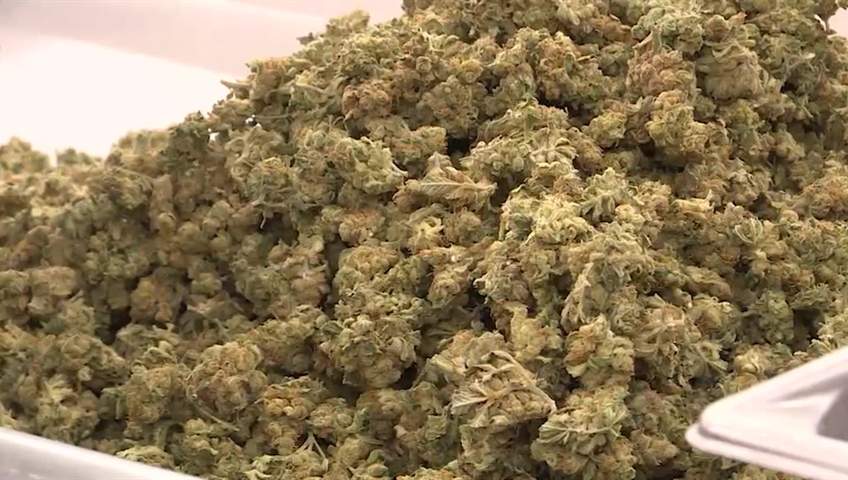 File photo - Saskatoon police allege a business continues to sell illegal and unregulated cannabis and cannabis-related products without a licence.
