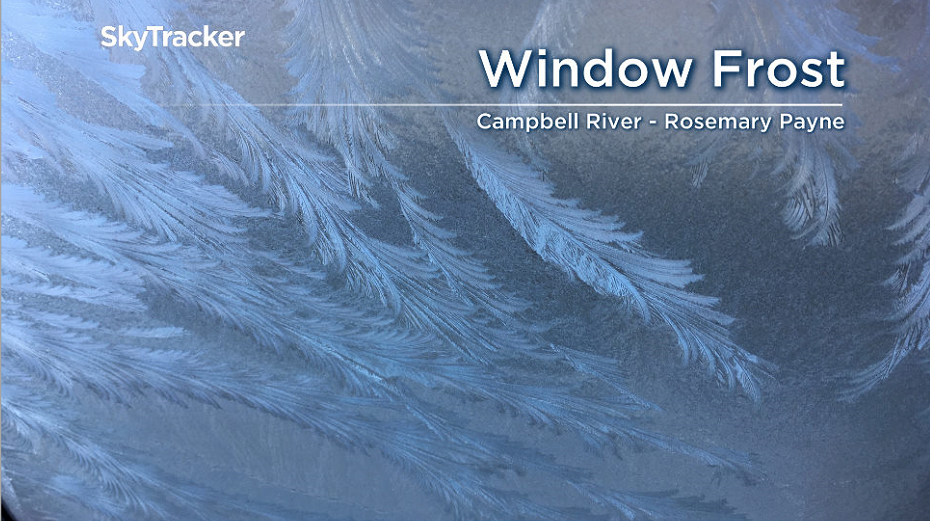 Window frost in Campbell River found Jan. 23, 2019 by Rosemary Payne.