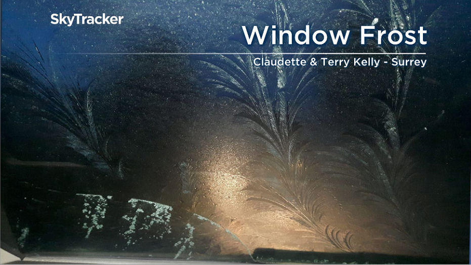 Window or fern frost formed on a windshield in Surrey last week.