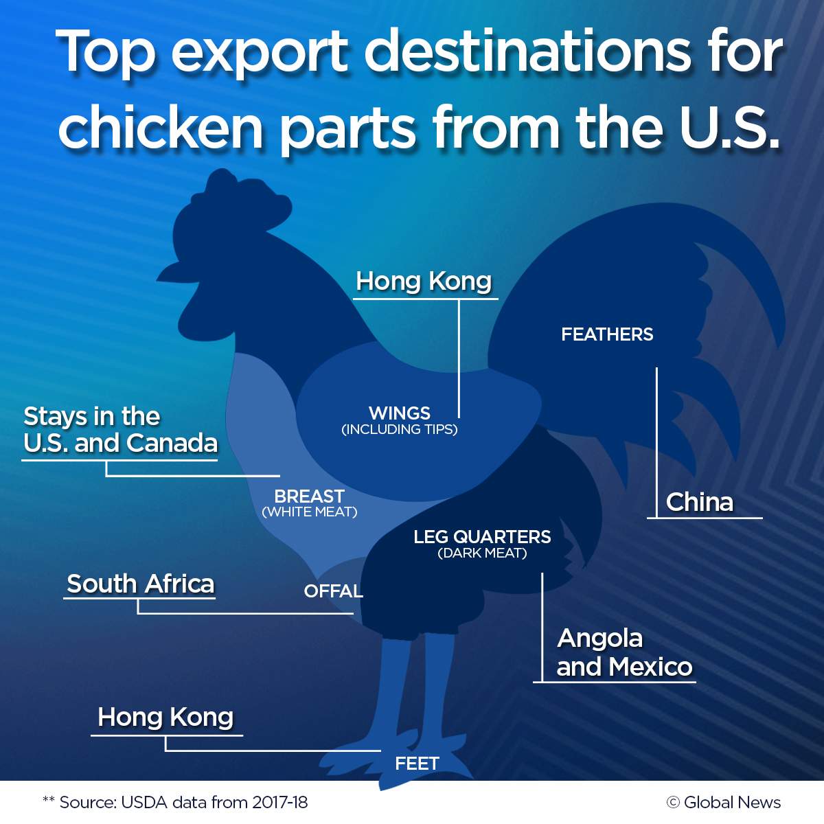 When Super Bowl fans eat a billion chicken wings, the world eats the leftovers - image