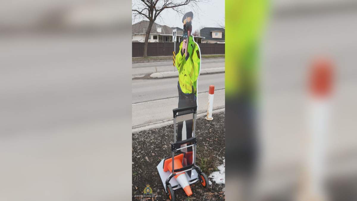 A cardboard cutout of a Mountie posted in a school zone has been stolen, according to police. 