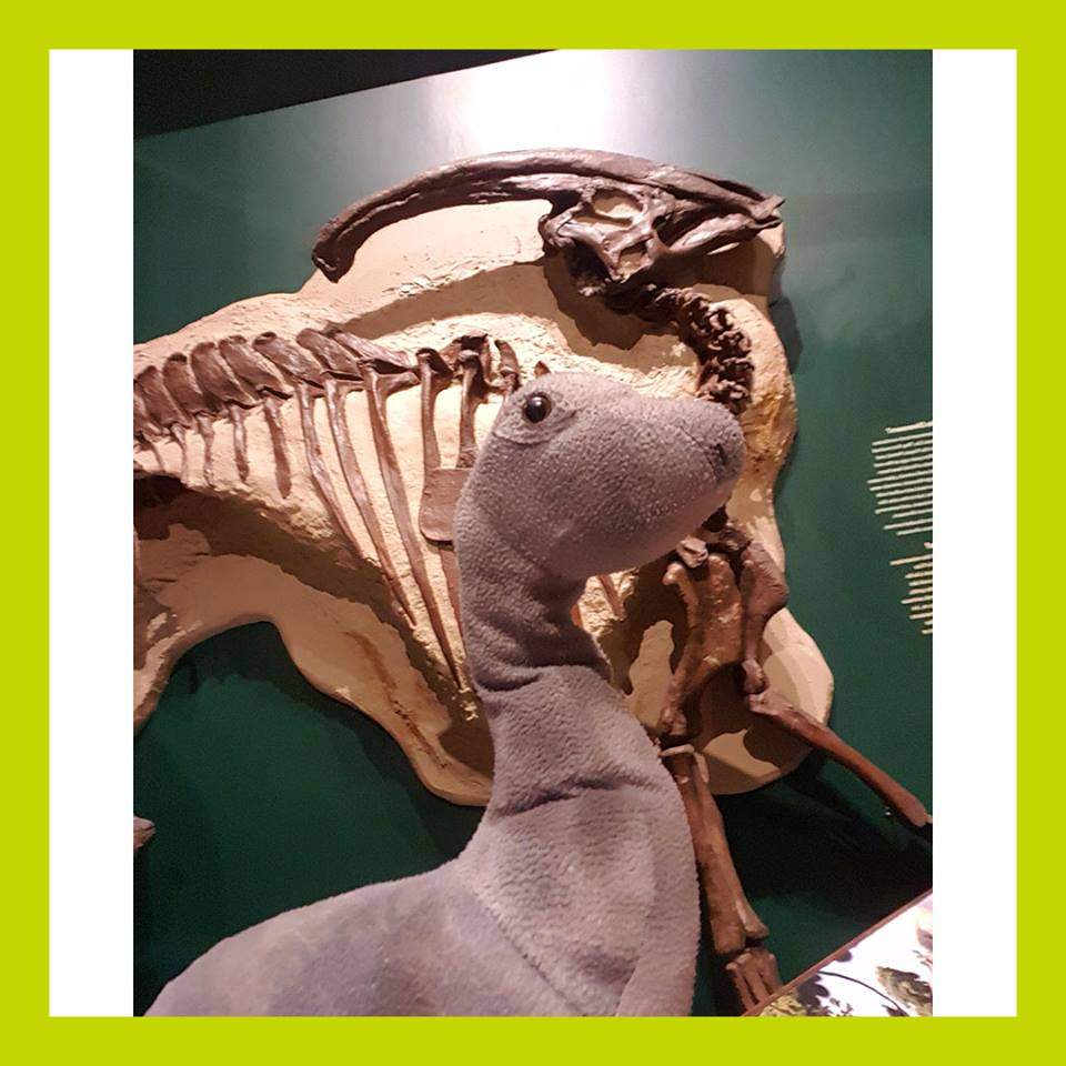 This dinosaur is looking for its owner.