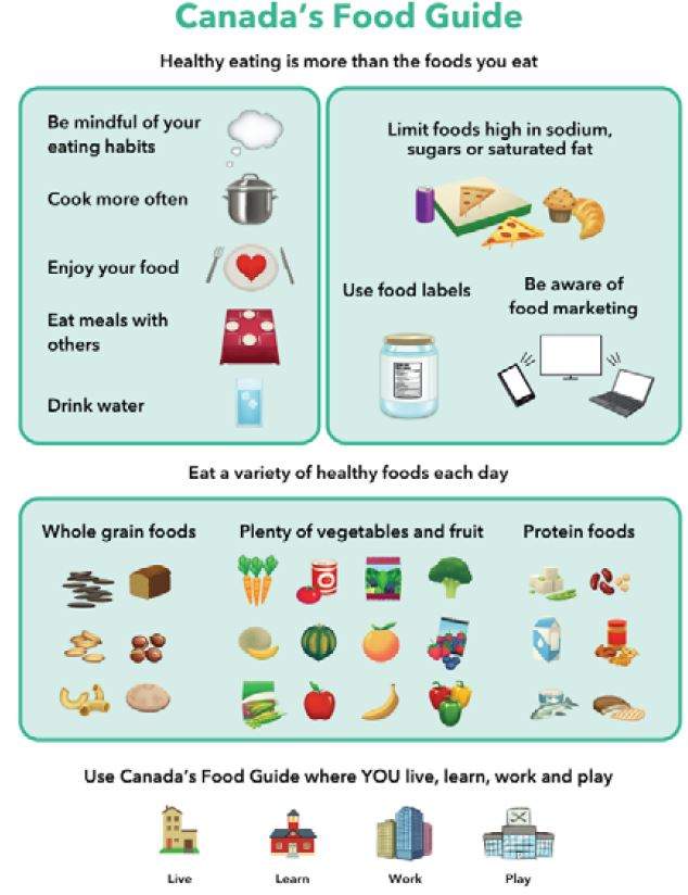 One of the images sent out to focus groups in a report about the new food guide prepared by Earnscliffe Strategy Group.