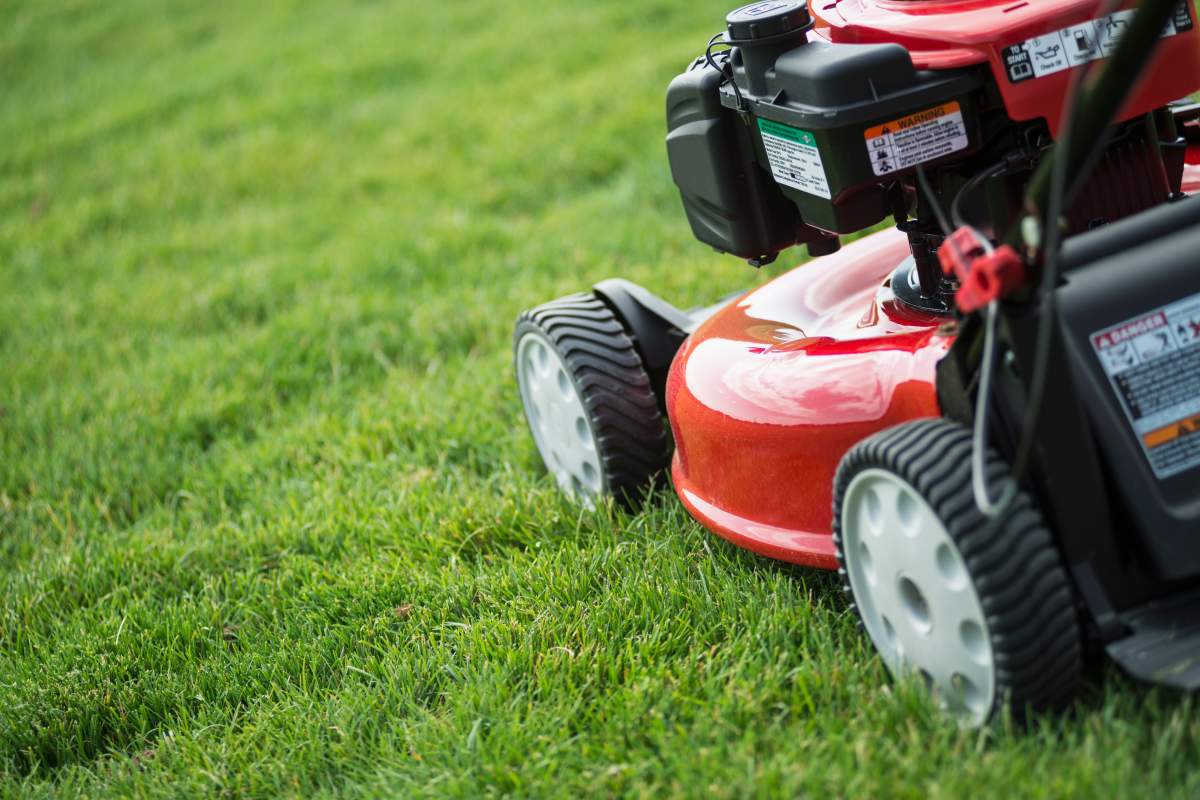 If you bought a gas-powered lawnmower between 1994 and 2012 you could get cash back.