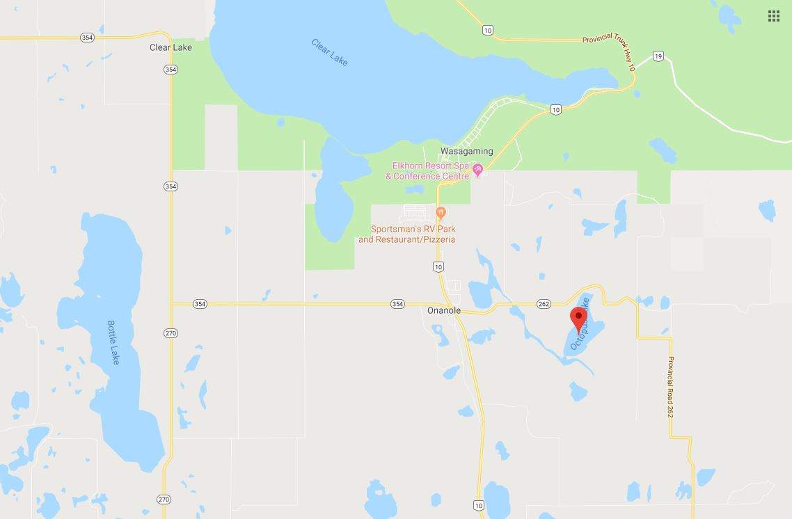 Octopus Lake is just off Hwy. 10, south of Clear Lake.