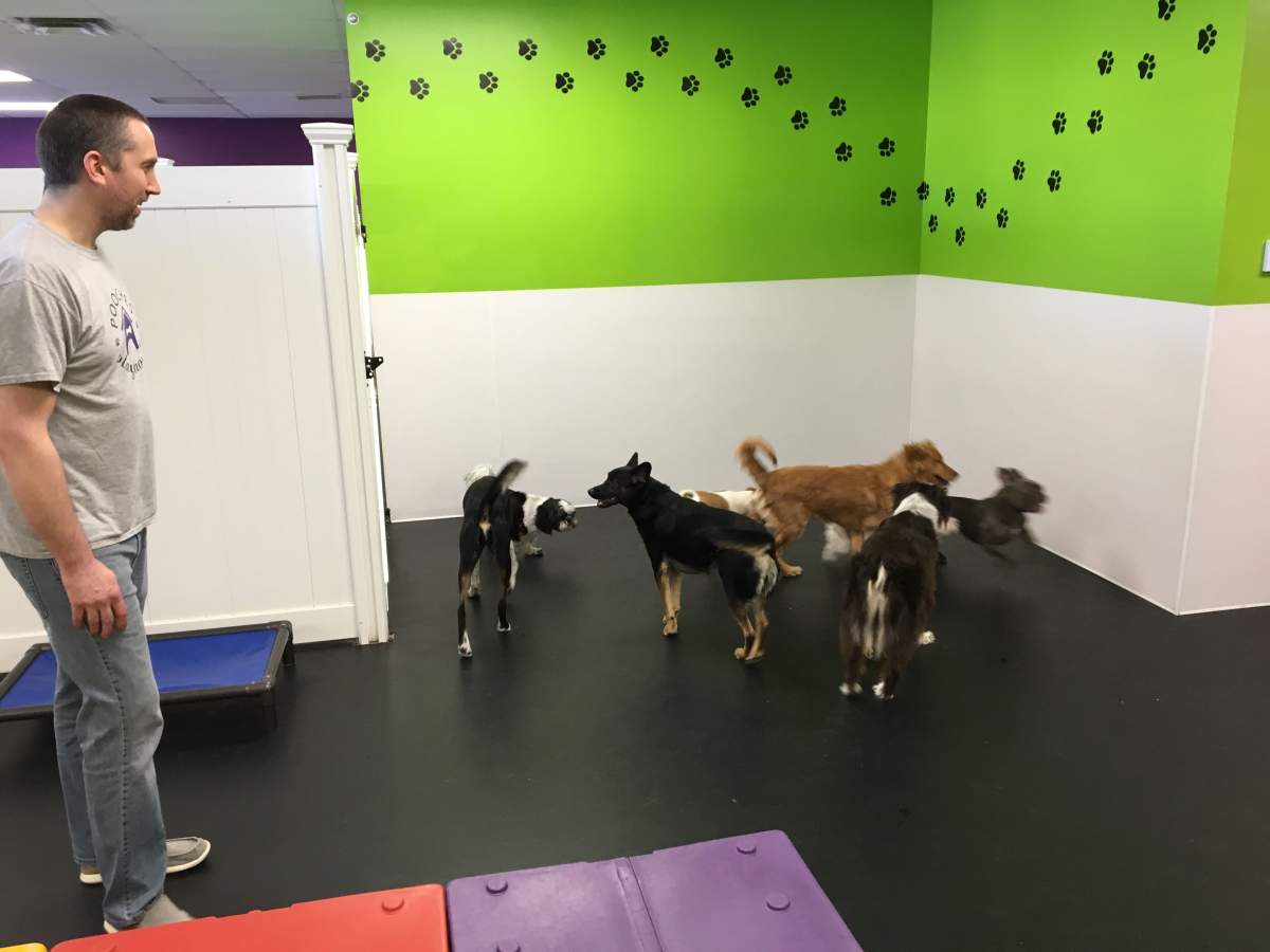 Korey Bojarski hanging out with the pups the Puppy Playhouse in Transcona.