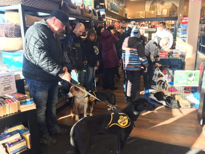 People gather to look at adoptable dogs from northern Manitoba.