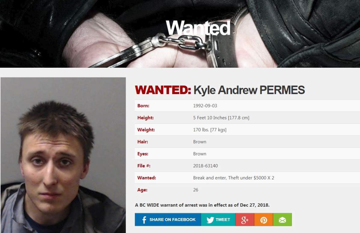 Kyle Andrew Permes