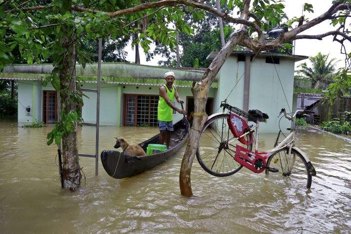 In this Monday, Aug. 20, 2018 file photo, a bicycle is hung from a tree branch to avoid being washed away in flood waters as a man rows past with his dog in a boat at Kuttanad in Alappuzha in the southern state of Kerala, India.