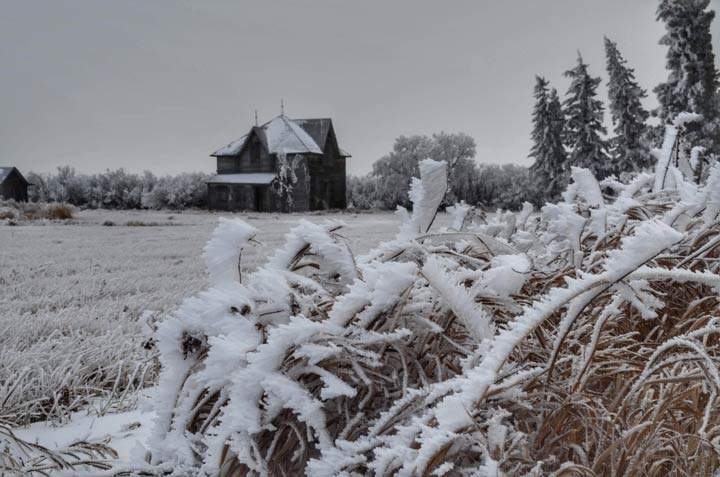 Rachelle Apperley took the January 28 Your Saskatchewan photo near Carnduff.