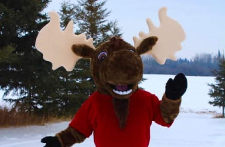 Meet Anonymoose.