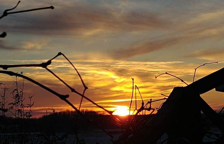 Pam Paris took the January 31 Your Saskatchewan photo in Humboldt.