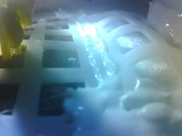 A cotton sprout is shown inside a test tank sent to the moon on China’s Chang’e 4 lander on Jan. 7, 2019.