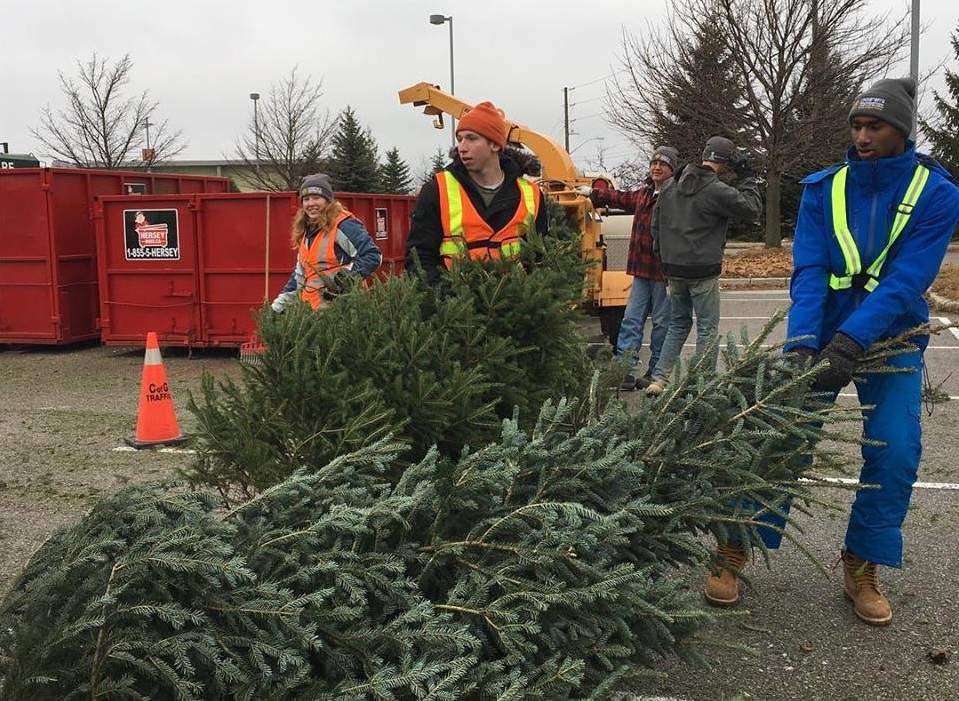 The trees were mulched and used on hiking trails at Ignatius Jesuit Centre.