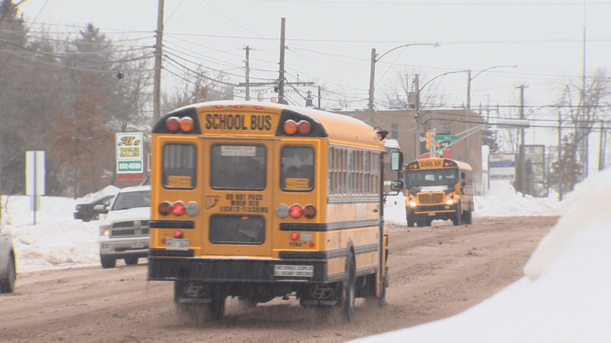 Watson says buses need to be called off the roads in these conditions.