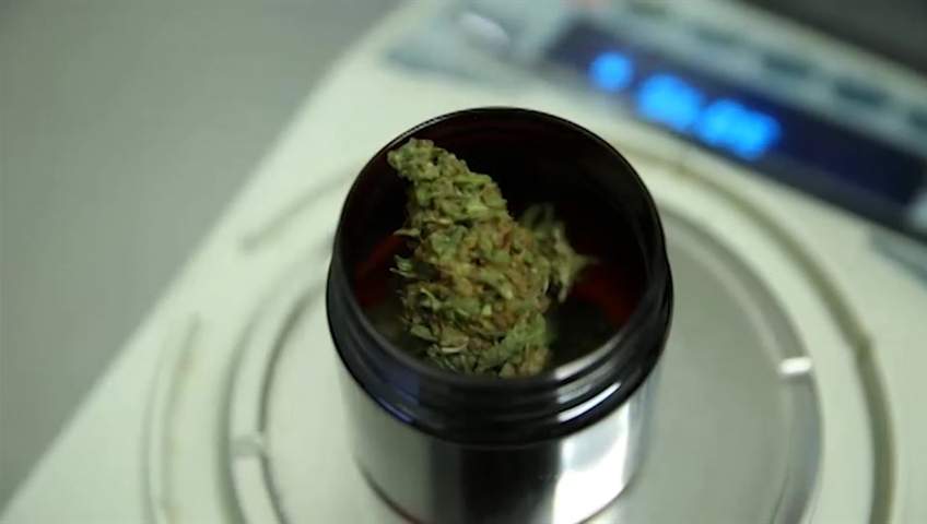 Cannabis shops could help in pandemic’s economic recovery, Kingston expert says - image