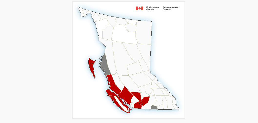 Wind warnings blanket B.C. coast from Victoria to Haida Gwaii - image