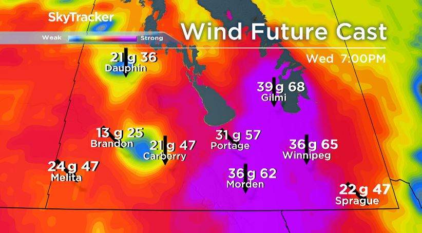 NAM model forecasting wind speeds from January 23, 2019.