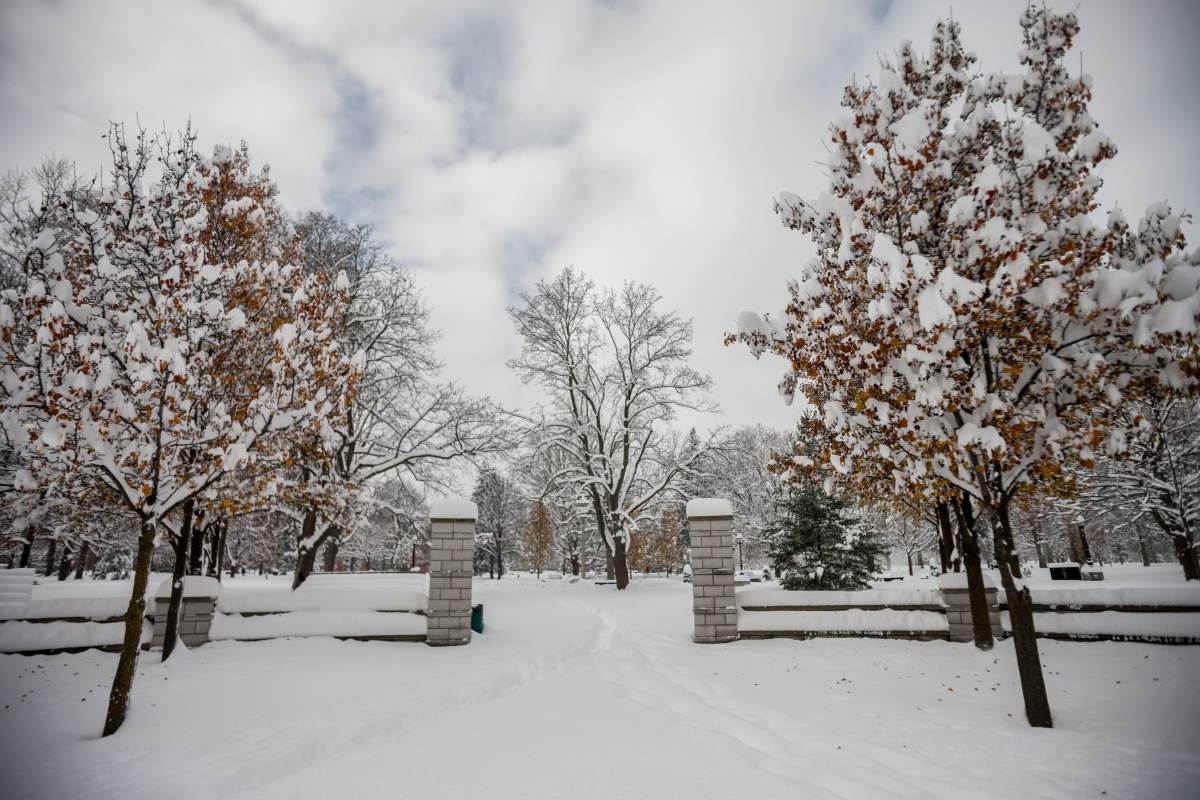 A rally is planned for Victoria Park from 10 a.m. to 12 p.m. on Saturday, February 16, 2019 to protest changes to Ontario's autism program. 