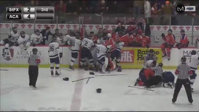 Six Acadia players and nine from the X-Men were handed automatic suspensions that ranged in length from two to five games, totalling 39 games.