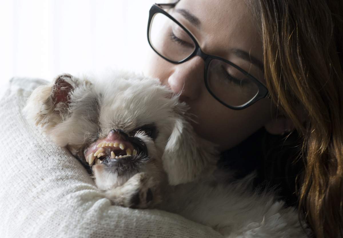 Mugs gets a kiss from her new owner Sam Taylor at her new home in Burnaby, B.C., Jan 25, 2019.