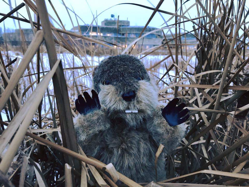 Manitoba Merv says spring will make an early appearance in 2019.