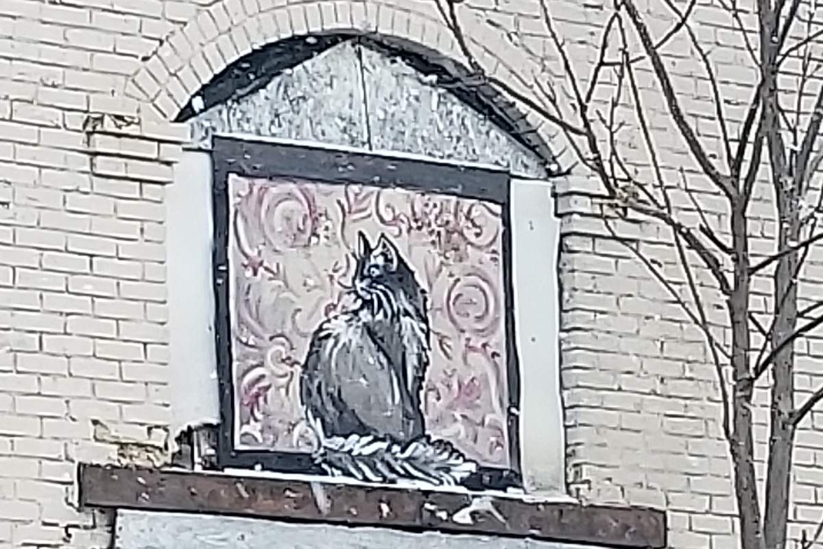A beautification project by neighbours saw the windows covered with paintings.