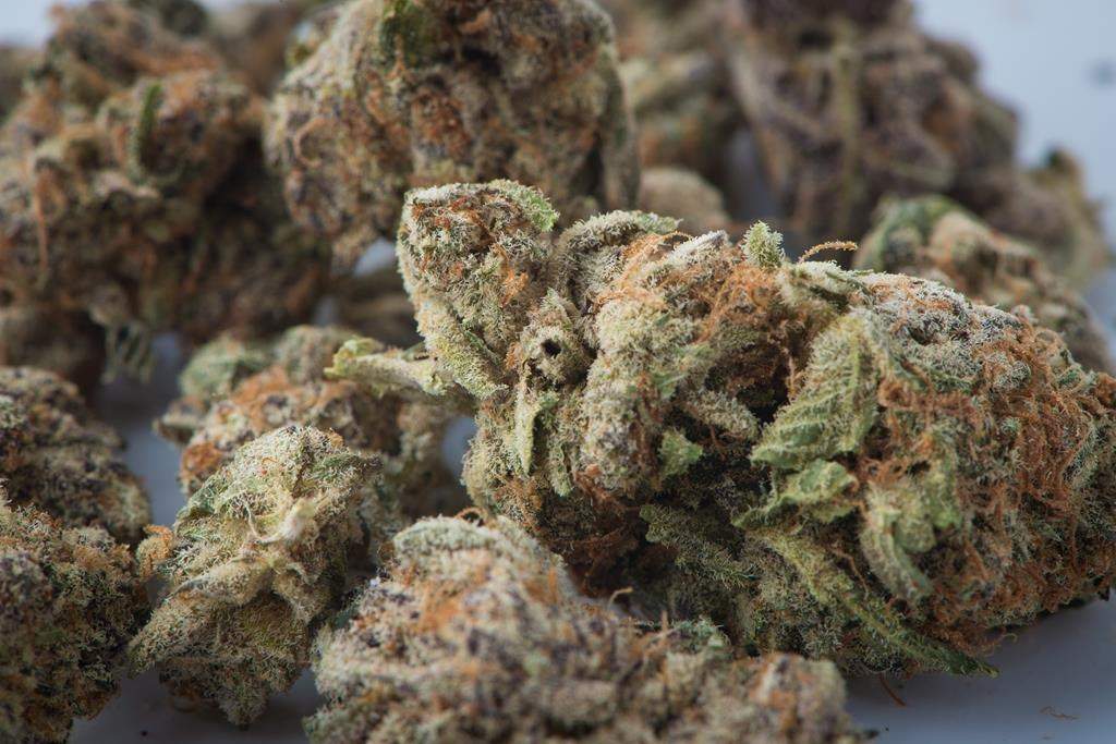 Province-wide, 25 brick-and-mortar cannabis stores are allowed to open as of April 1.