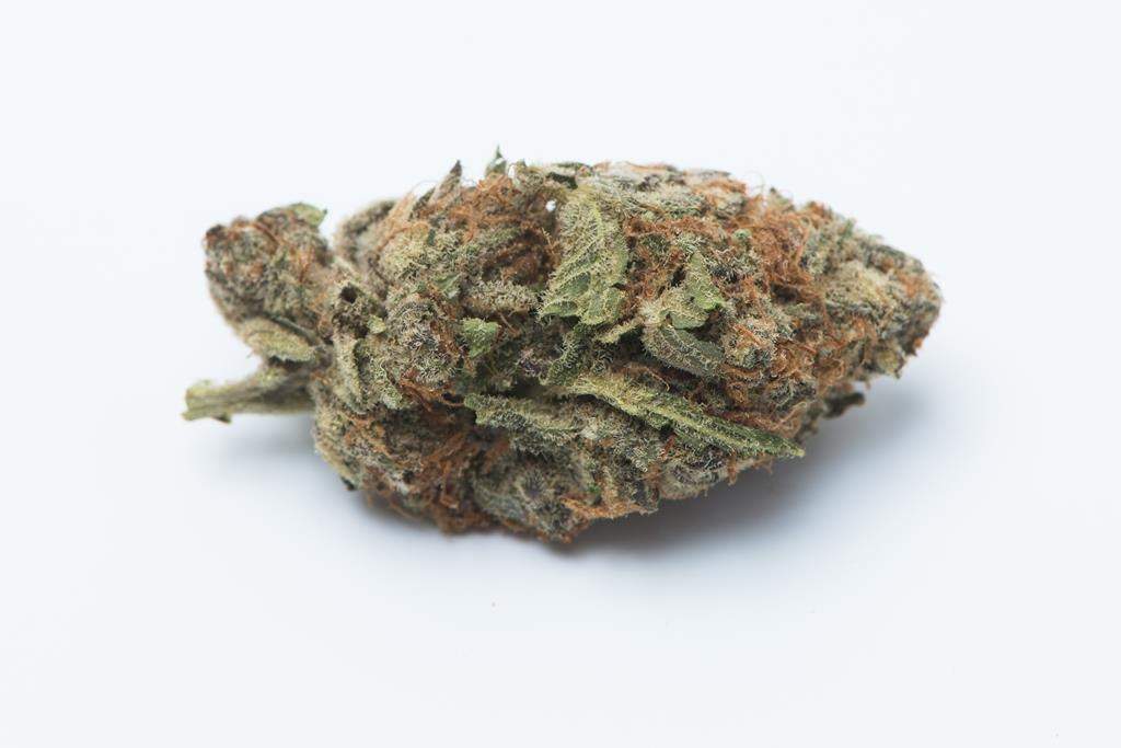 Kelowna is on its way to opening legal pot shops within the city limits.