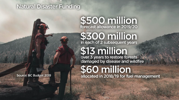 More money in B.C. budget for wildfire response as natural disaster costs soar - image