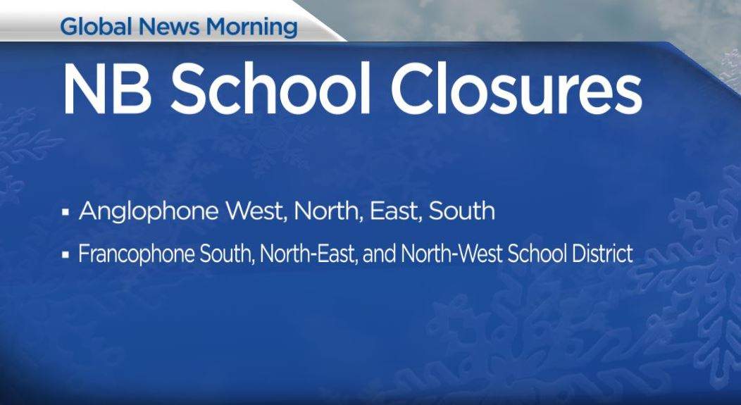 Strong winter storm brings upwards of 40 cm of snow to New Brunswick - image