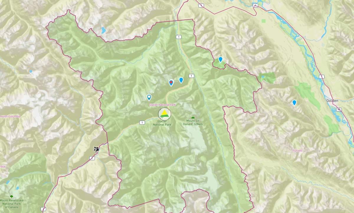 Map of avalanche location in Glacier National Park. The avalanche site is marked with a blue flag with a red center. 