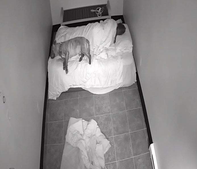 A loving animal shelter worker spent the night in the pound during a snowstorm to ensure the animals had the food and care they need.