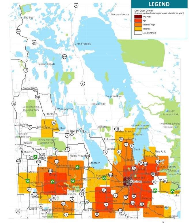 Deer collision hot spots in Manitoba.