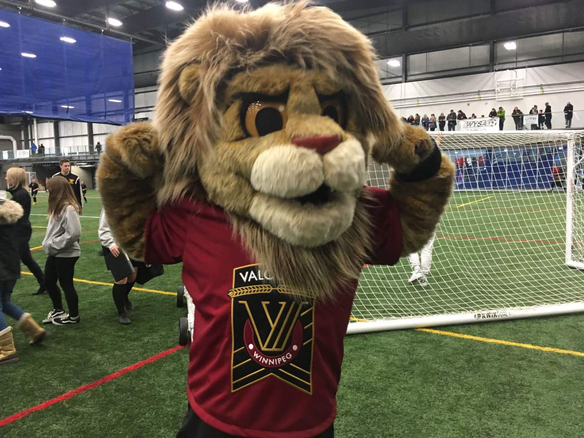 Vic the Lion strikes a pose. 