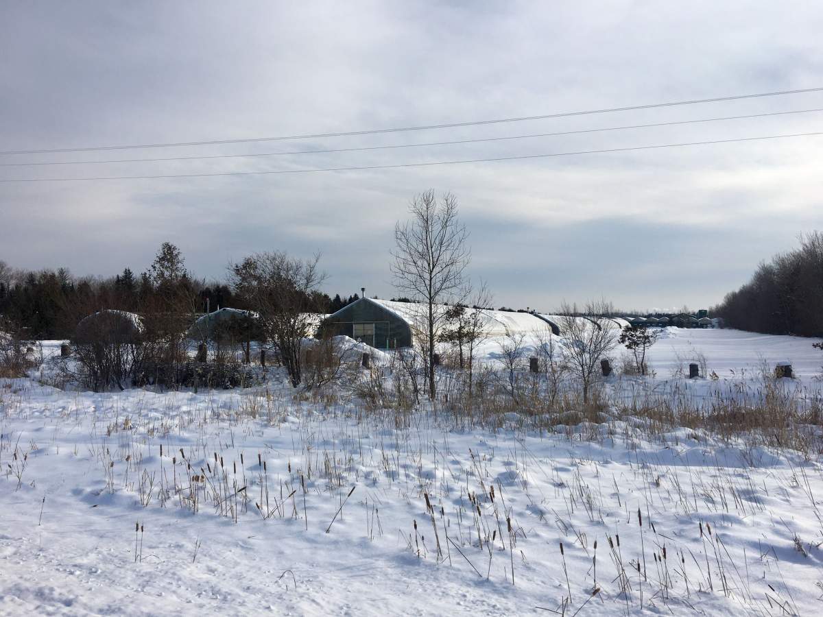 New home of Botanist Organic Growers