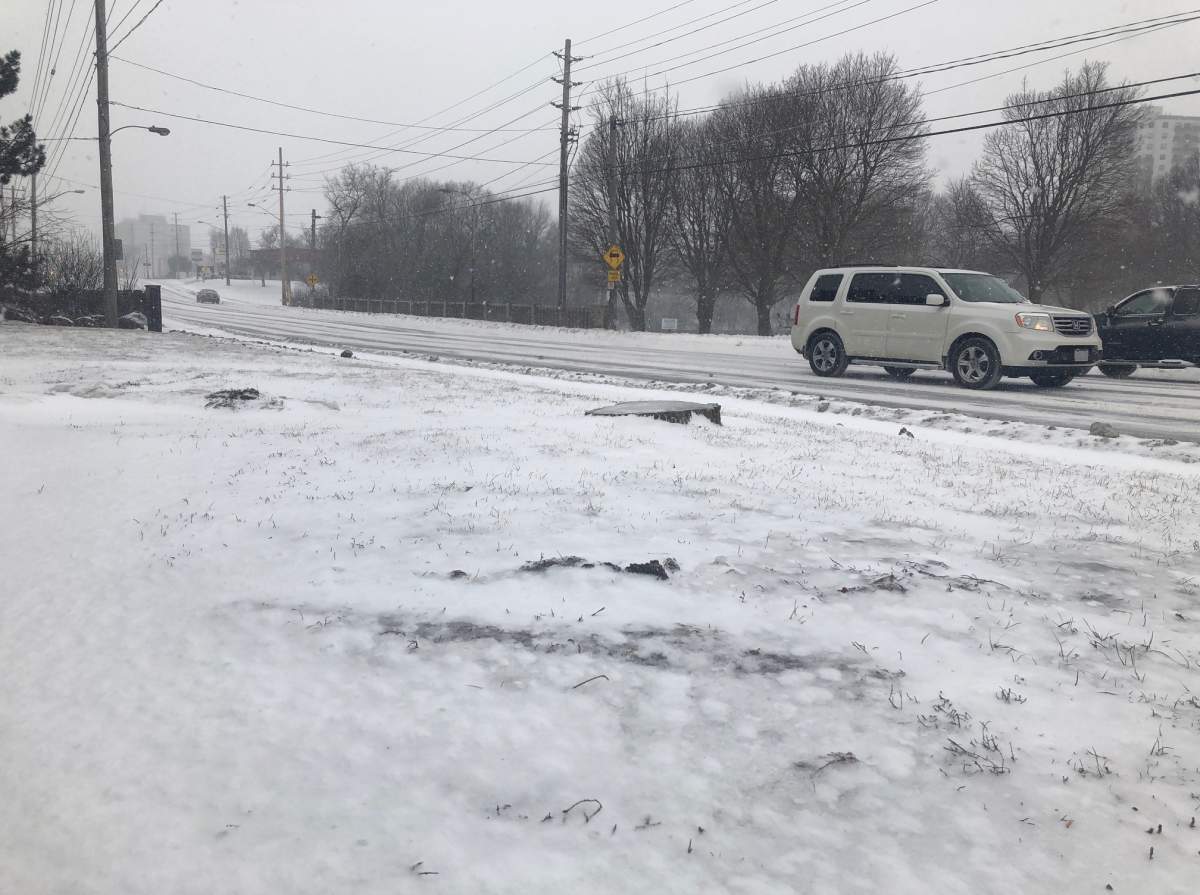 All schools in Guelph are closed Tuesday as Environment Canada has issued a winter storm warning.