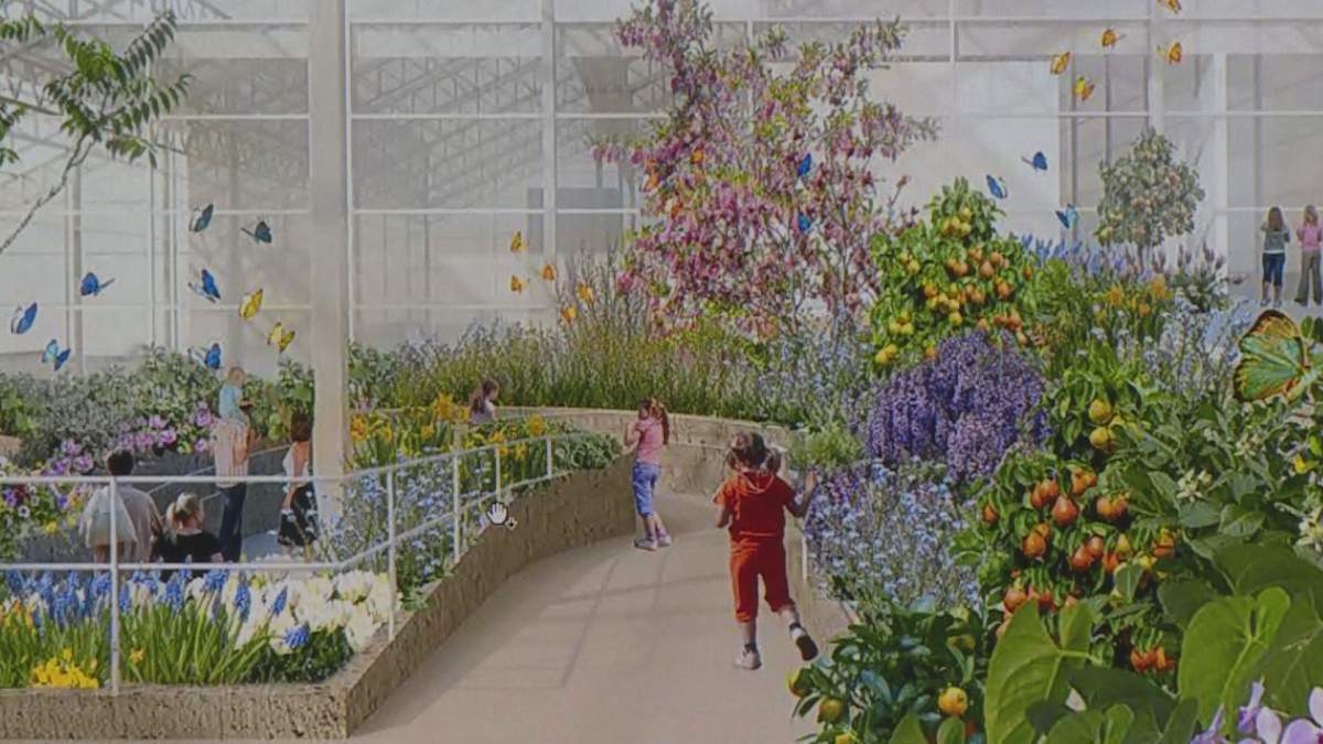 An artist's rendering of  the renovated Montreal Insectarium.  