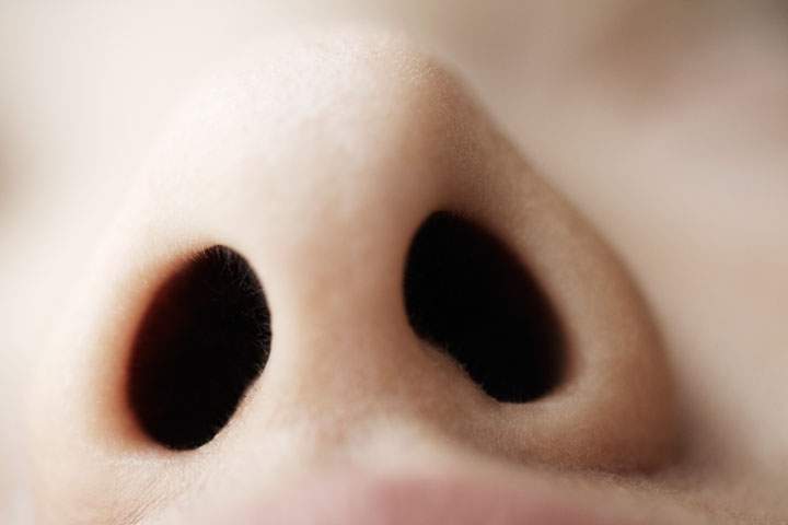 London, Ont., researchers studying loss of smell in COVID-19 patients as part of global initiative - image