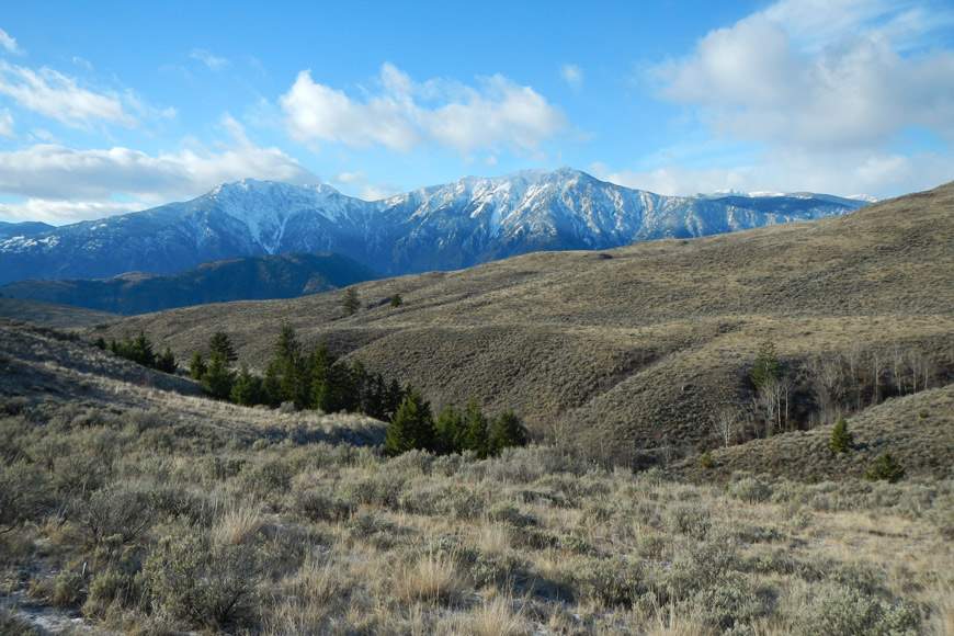 B.C. residents are awaiting an announcement on the proposed national park reserve in the South Okanagan-Similkameen that is set to take place on July 2.