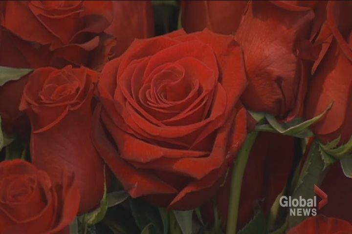 Forest of Flowers says roses remain the most popular Valentine's Day order. 