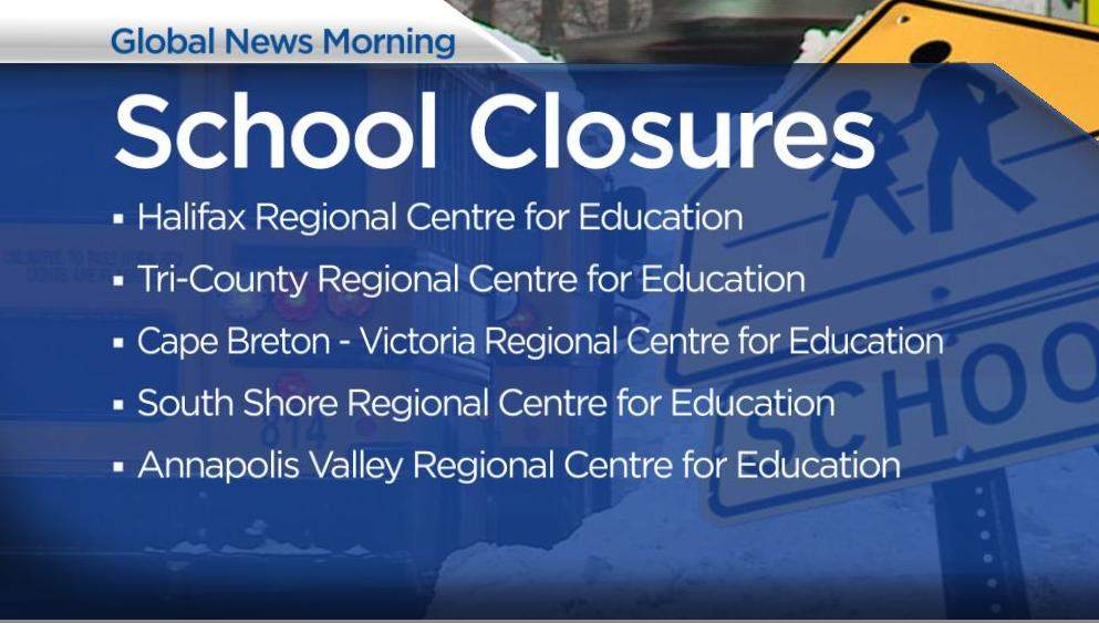 Winter storm brings heavy snow, ice pellets and strong winds to Nova Scotia - image